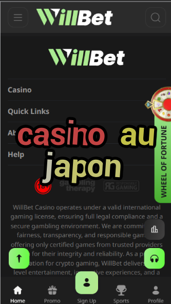 Casino Au Japon - Japan's Unique Casino Culture-casinoorder.vip